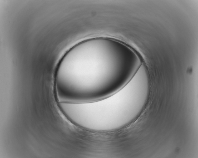 X0000092221508200709140911