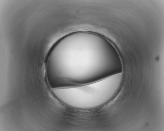 X0000092221509200709140911