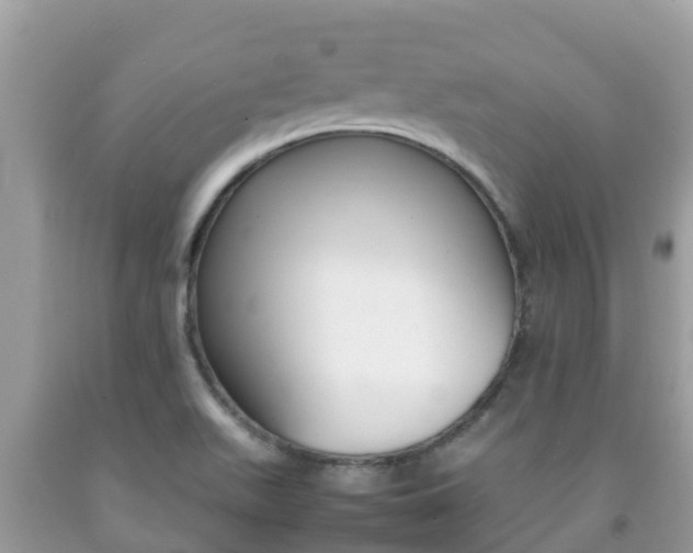 X0000092221511200709140911