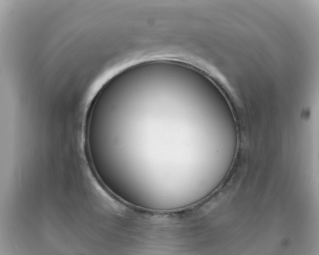 X0000092221512200709140911