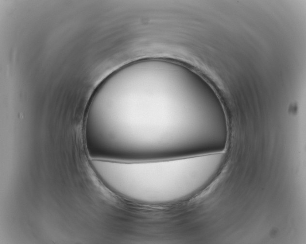 X0000092221513200709140911