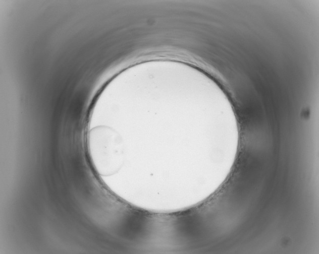 X0000092221514200709140911