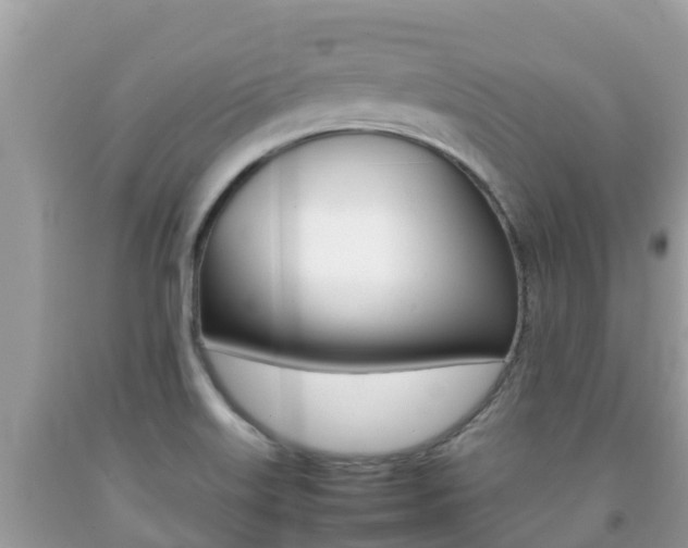 X0000092221515200709140911