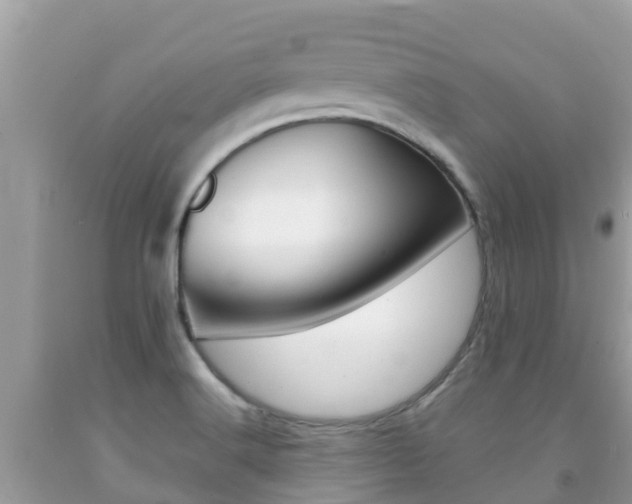 X0000092221516200709140911