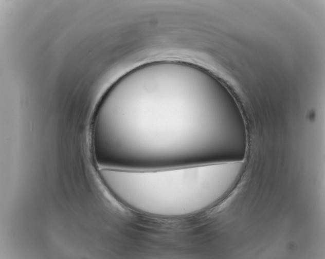 X0000092221517200709140911