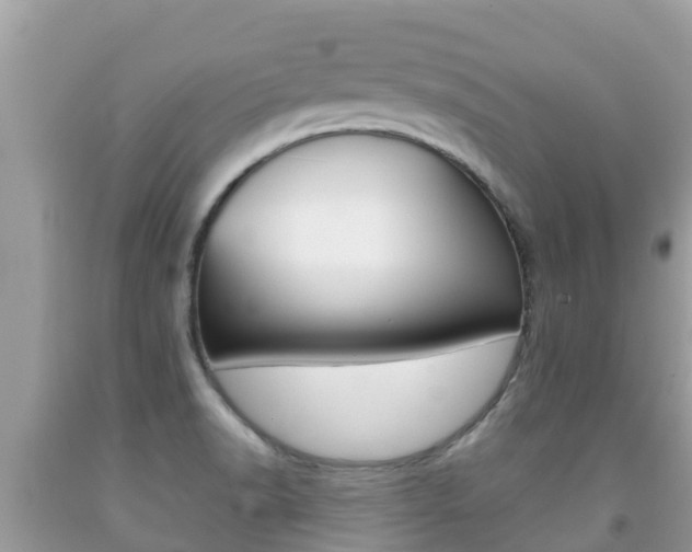 X0000092221518200709140911