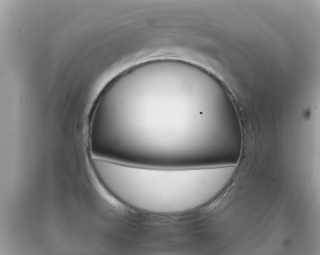 X0000092221519200709140911