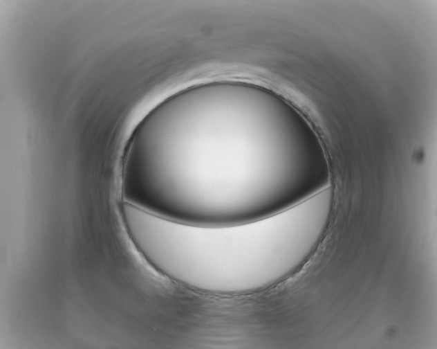 X0000092221520200709140911