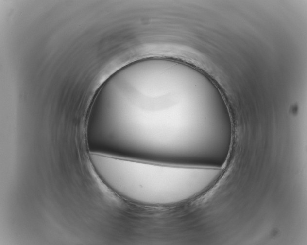 X0000092221521200709140911