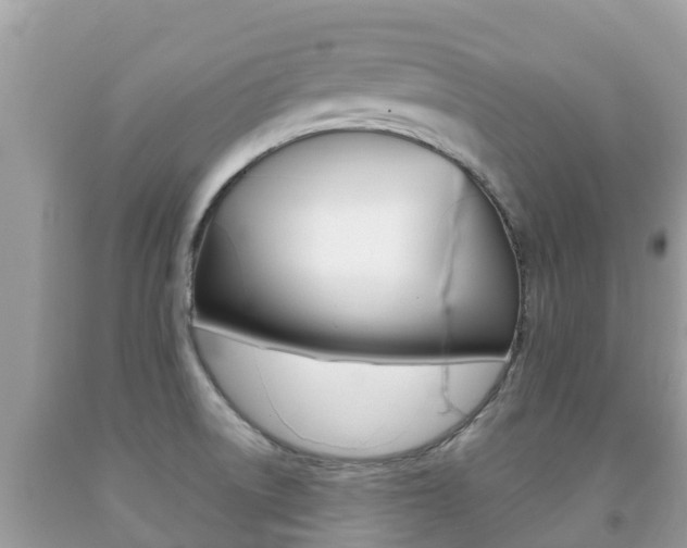 X0000092221522200709140911