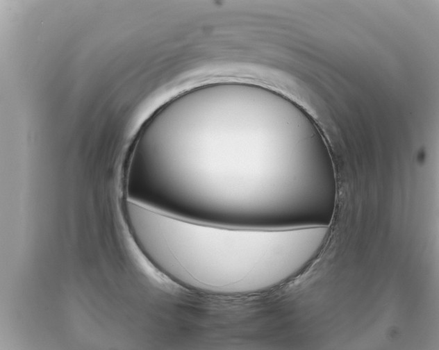 X0000092221523200709140911