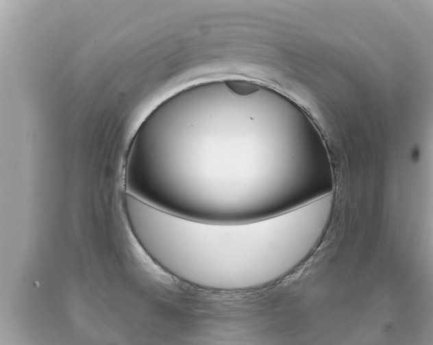 X0000092221524200709140911