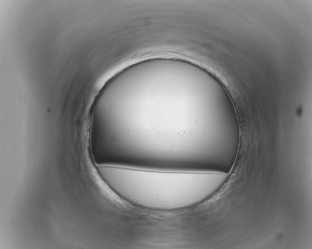 X0000092221526200709140911