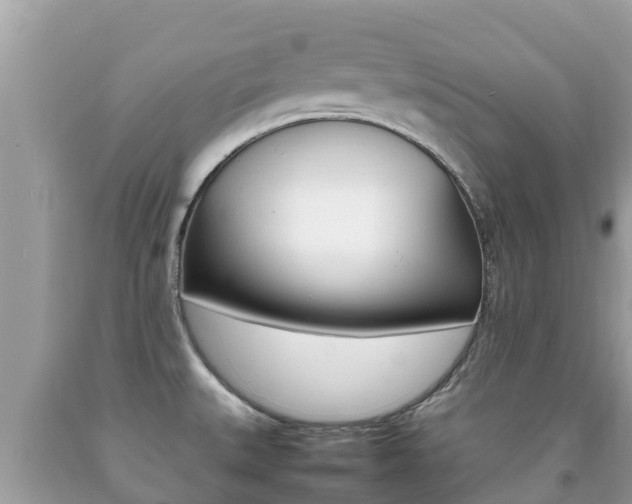 X0000092221527200709140911