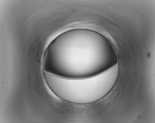 X0000092221528200709140911