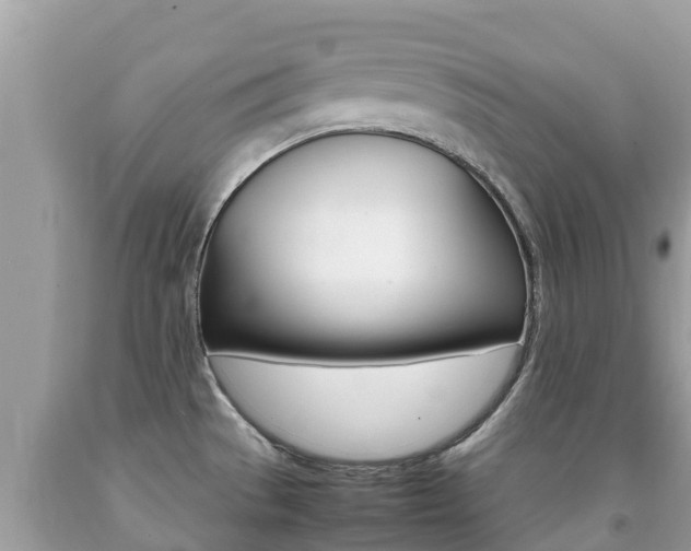 X0000092221529200709140911