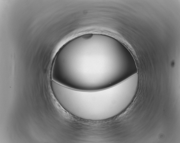 X0000092221530200709140911