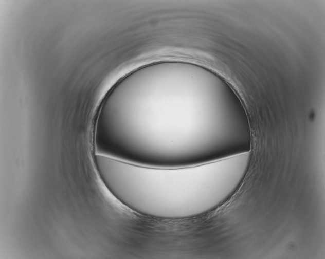 X0000092221531200709140911