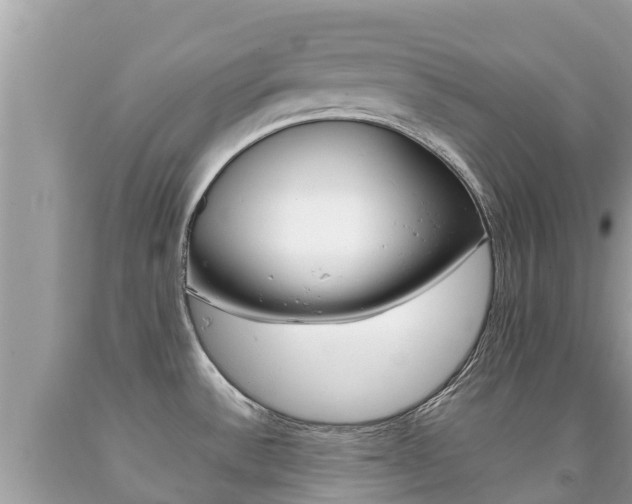 X0000092221532200709140911