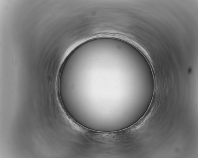 X0000092221533200709140911