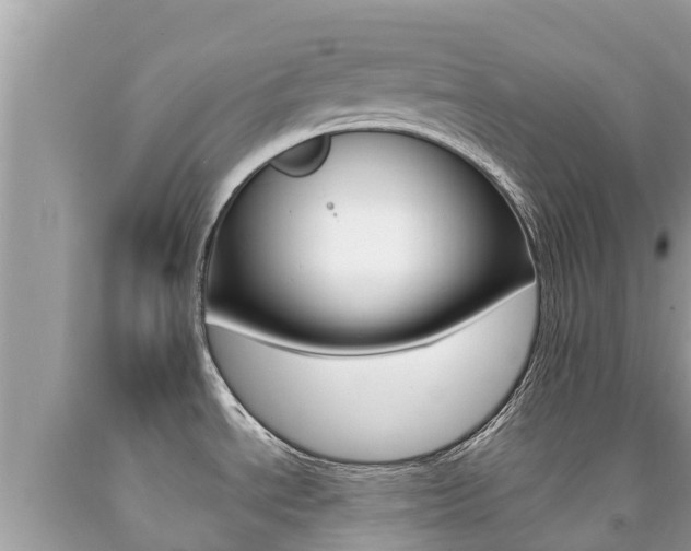 X0000092221534200709140911
