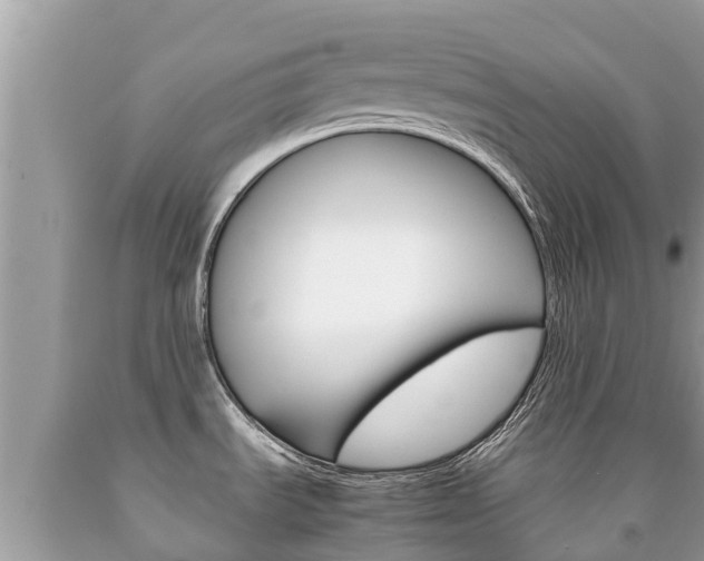 X0000092221535200709140911
