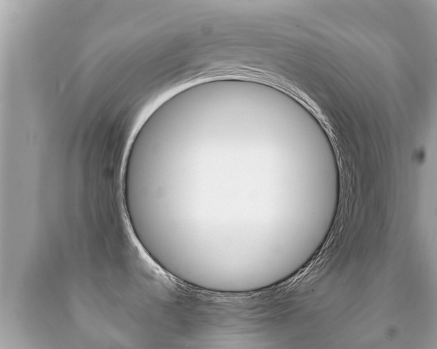 X0000092221536200709140911