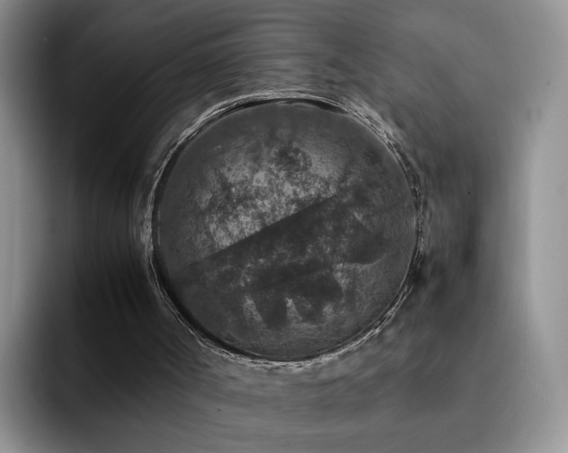 X0000092220002200709141053