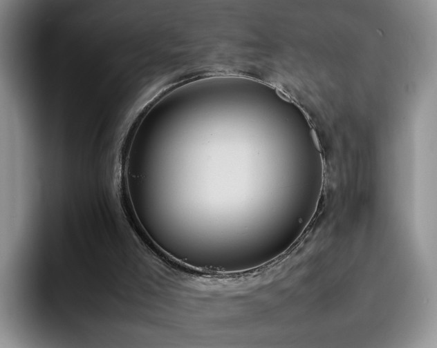 X0000092220005200709141053