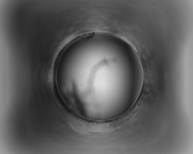 X0000092220008200709141053