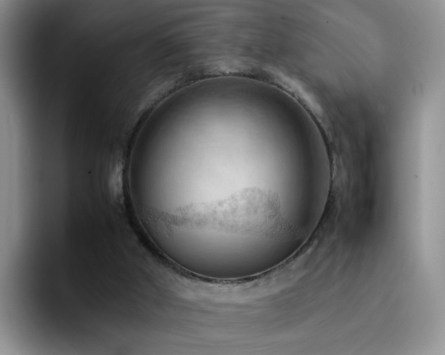 X0000092220010200709141053