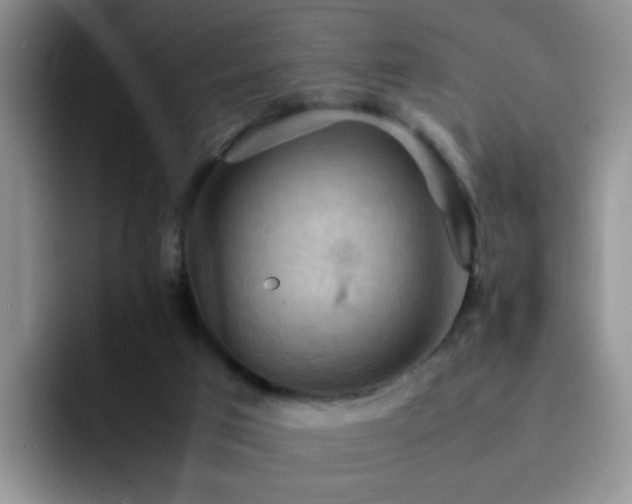 X0000092220017200709141053