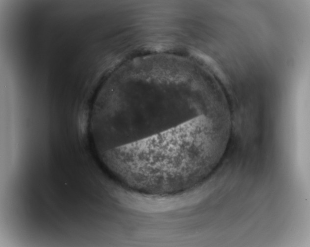 X0000092220018200709141053