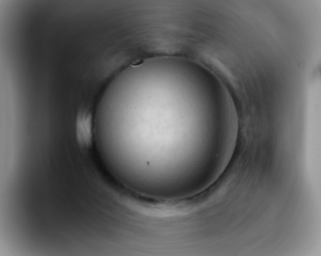 X0000092220020200709141053