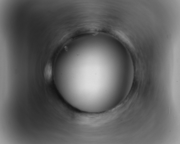 X0000092220021200709141053