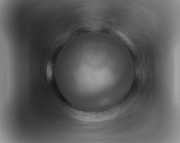 X0000092220026200709141053