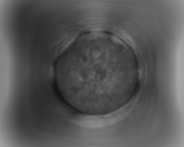 X0000092220029200709141052