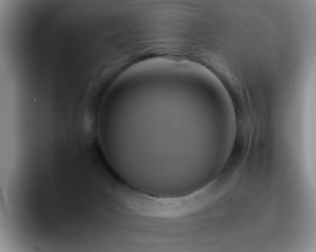 X0000092220031200709141052