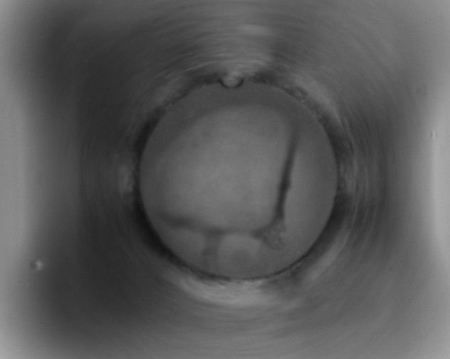 X0000092220032200709141052