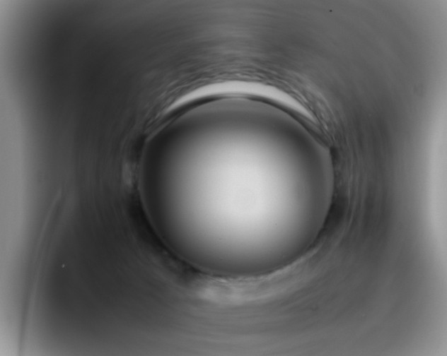 X0000092220033200709141052