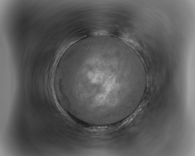 X0000092220049200709141052