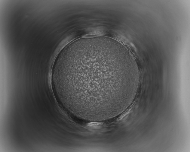 X0000092220051200709141052