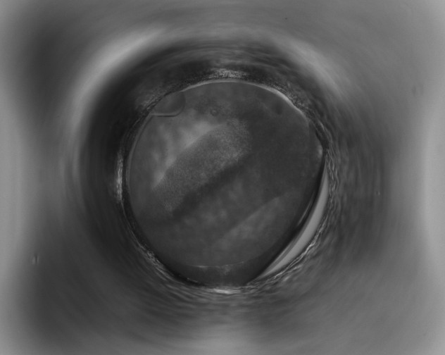 X0000092220052200709141052