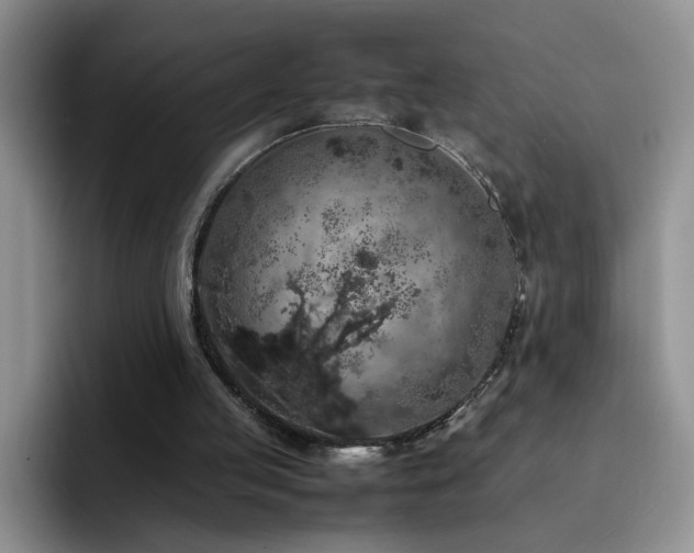 X0000092220053200709141052
