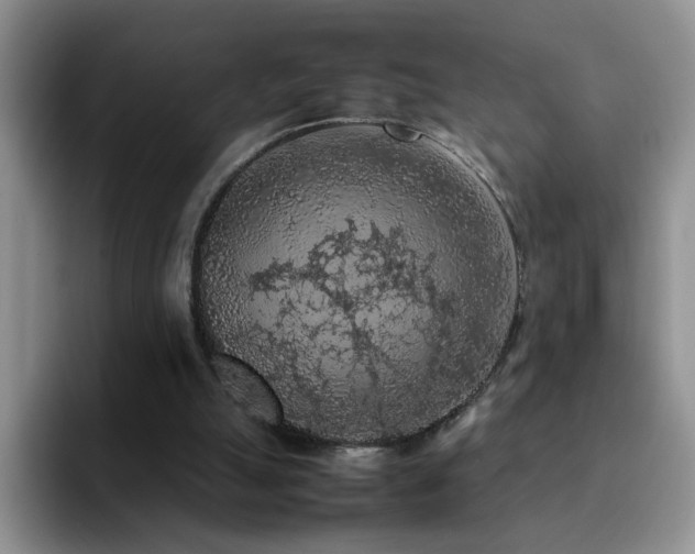 X0000092220055200709141052