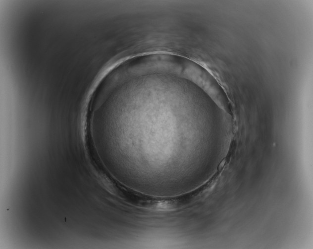 X0000092220056200709141052