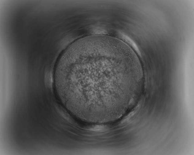 X0000092220059200709141052