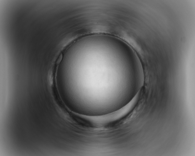 X0000092220060200709141052