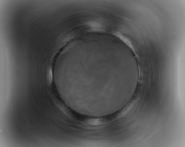 X0000092220061200709141052