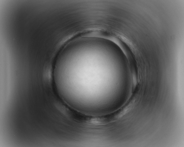 X0000092220064200709141052